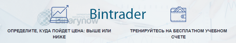 Возможности с опционным Bintrader